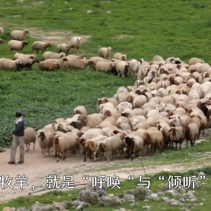 银华