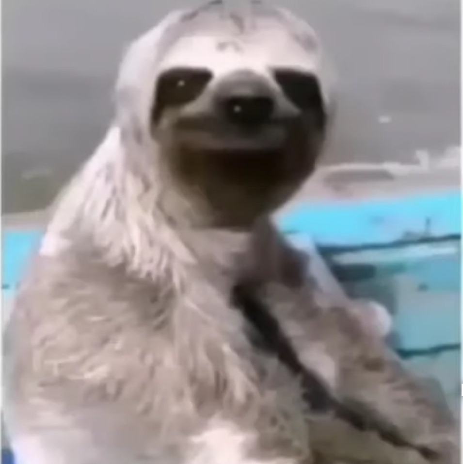Ryan