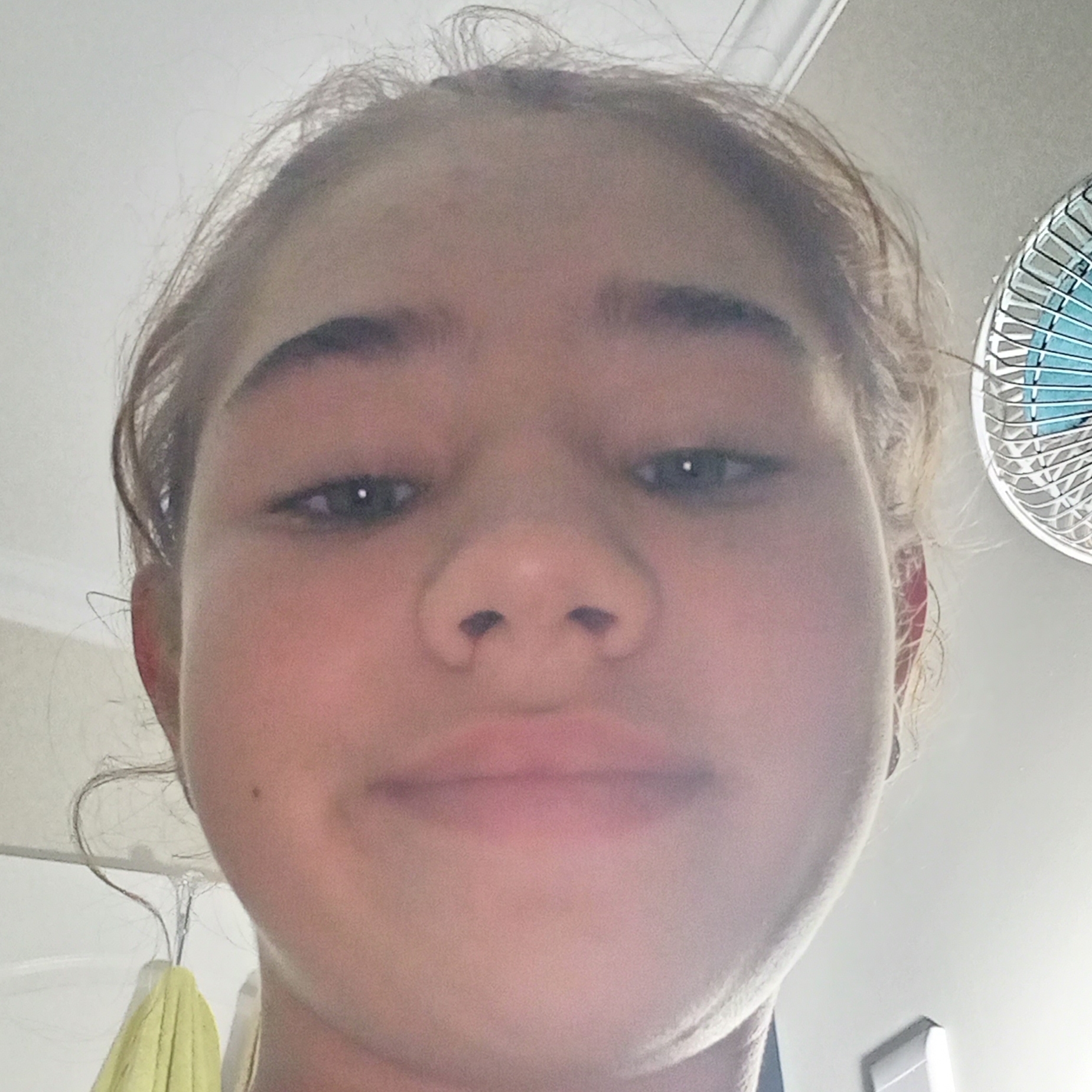 Lynneve