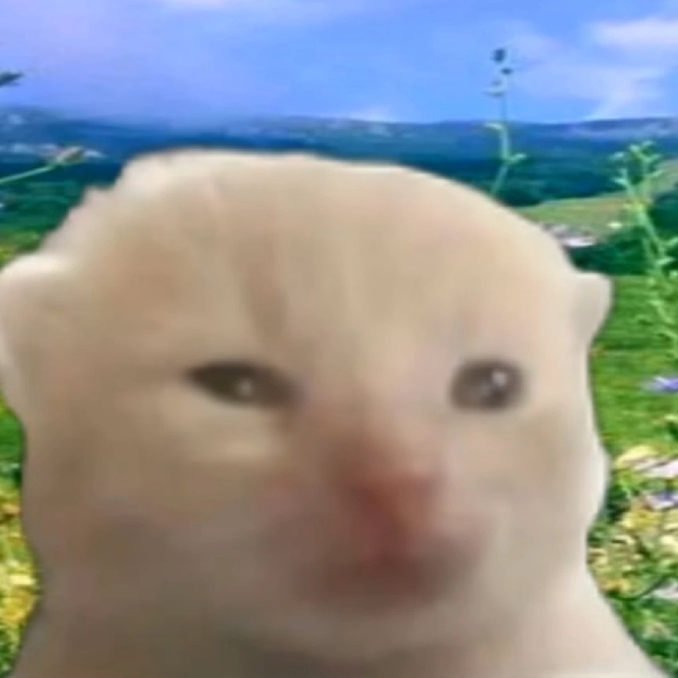 shui