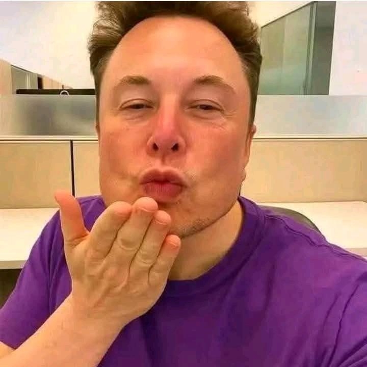 Reevemusk