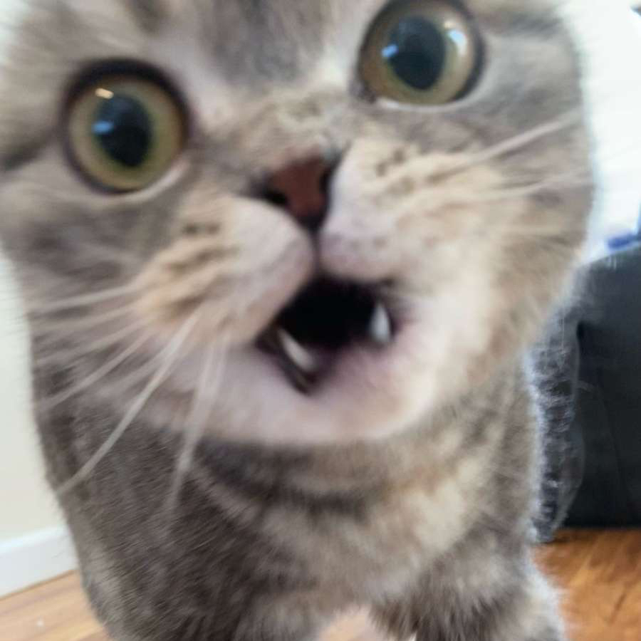 Cameron