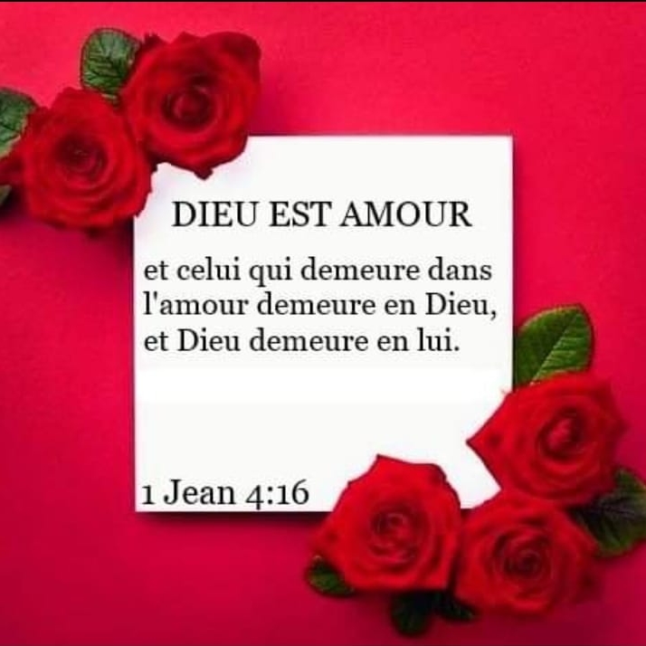 ✨🌺 Aimée