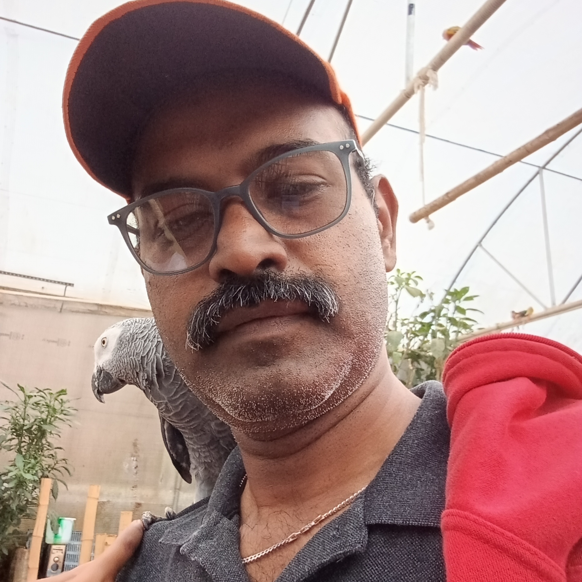 sudhan