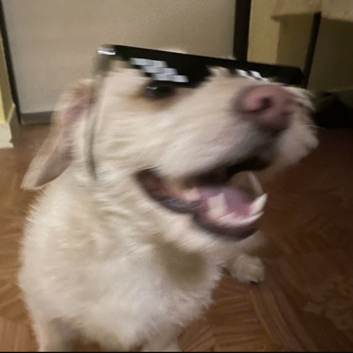 Erik