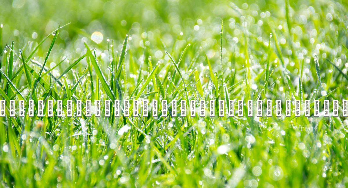 Prayer image