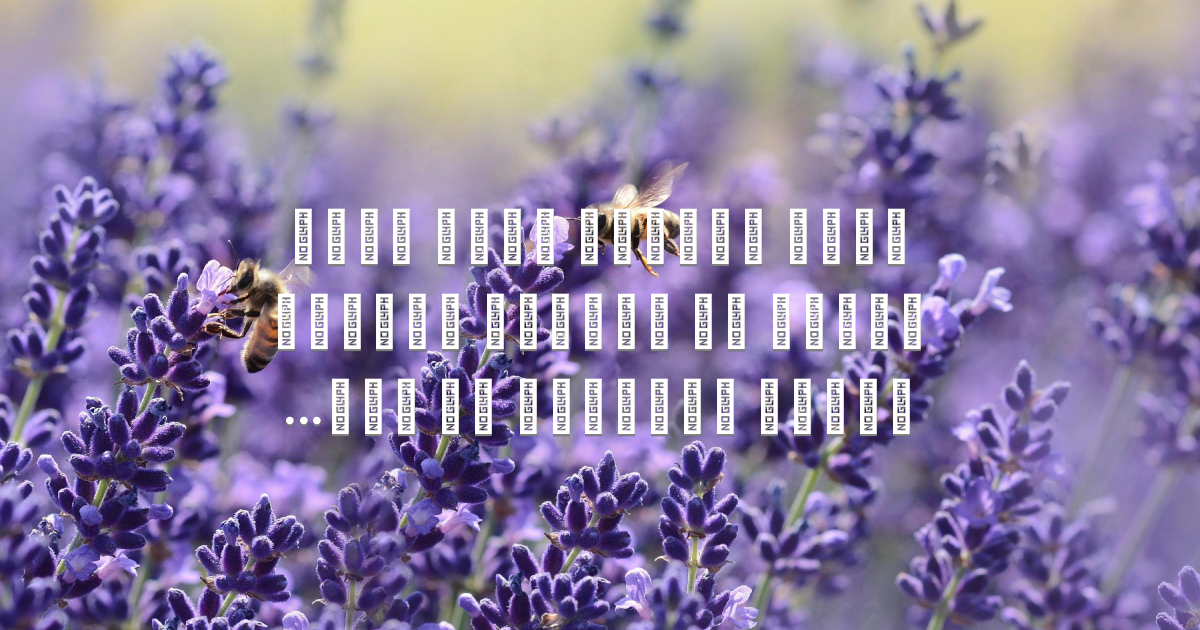 Prayer image