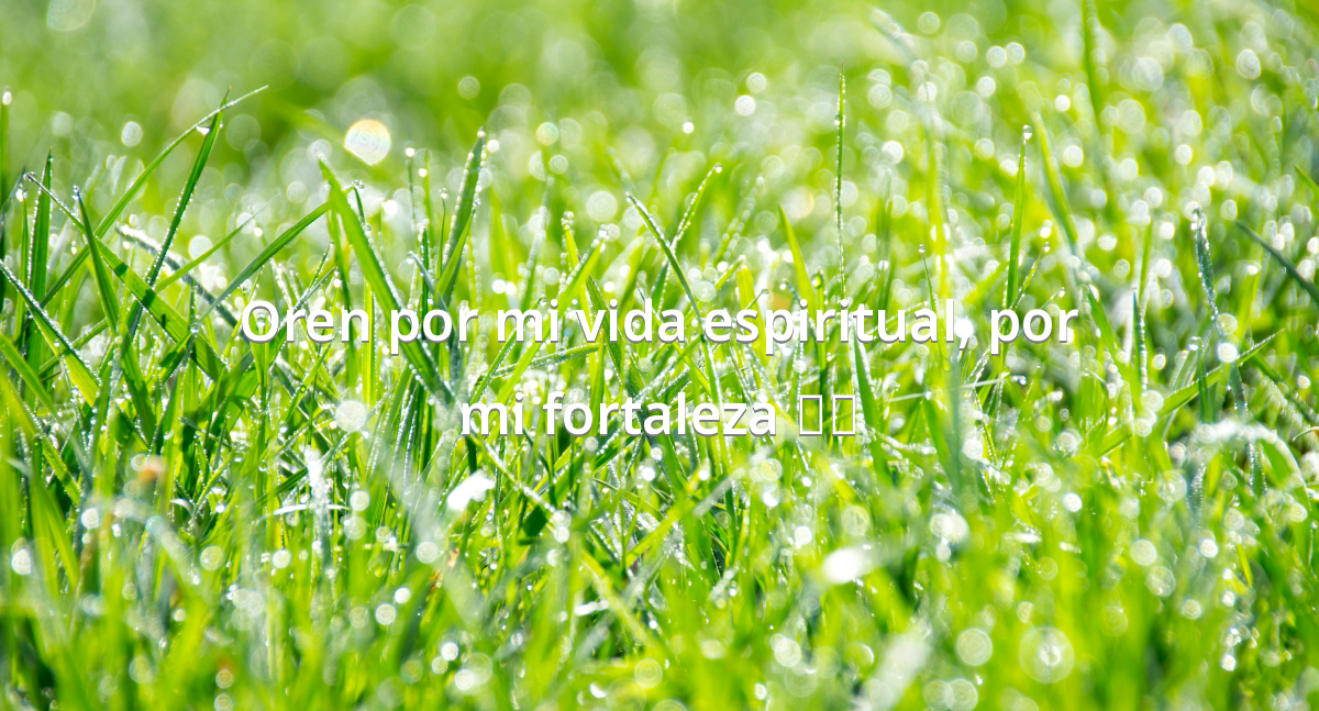 Prayer image