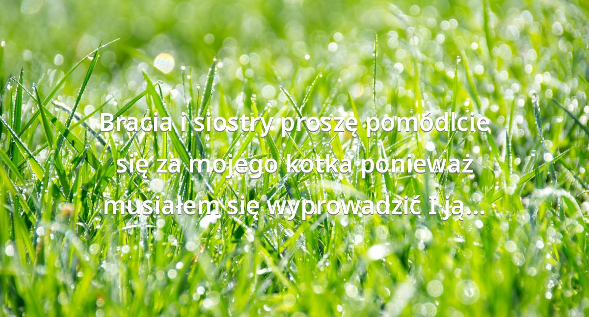 Prayer image