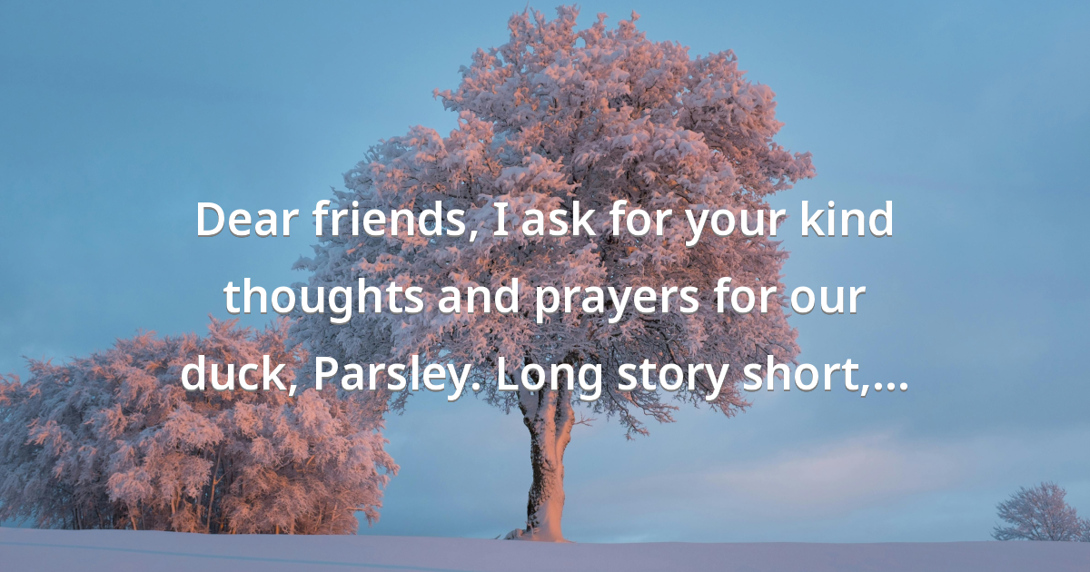 Prayer image