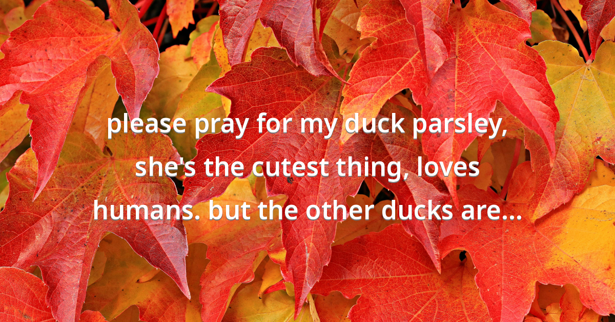 Prayer image