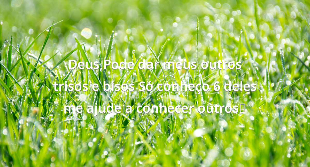 Prayer image
