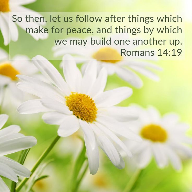 Prayer image