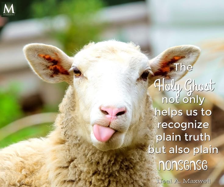 Prayer image